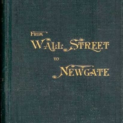 Bidwell's Travels, from Wall Street to London Prison: Fifteen Years in Solitude — original book cover