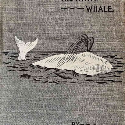 Moby Dick; Or, The Whale — original book cover