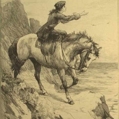 The Pirate: Andrew Lang Edition — original book cover